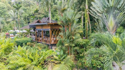 Ballena Hotel | Oxygen Jungle Villas & Spa