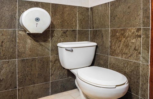 San Luis Potosí Hotel | OYO Hotel Bugambilia San Luis Potosi