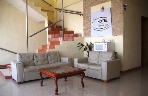 Teolocholco Hotel | OYO Hotel Trigos De Oro,San Luis Teolocholco Park