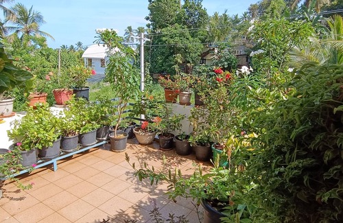 Thiruvananthapuram Casa | Oyster Marris Homestays in Trivandrum