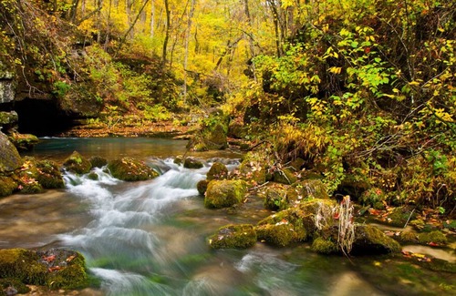 Teresita Otro | Ozark Getaway! With Free Parking, Outdoor Saltwater Pool