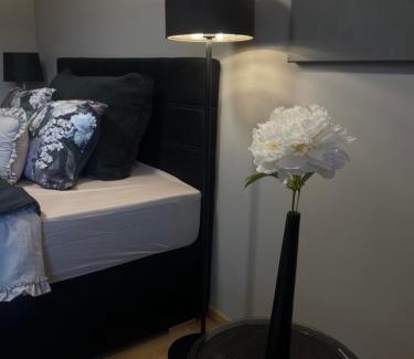 Jekabpils Apartamento | OzolApart 2