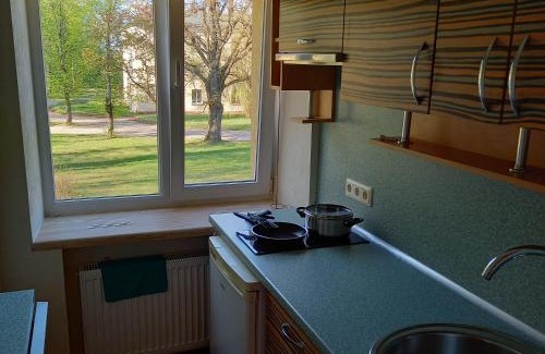 Janmuiza Apartamento | Ozolu gatve 2- no Cēsīm 7 km