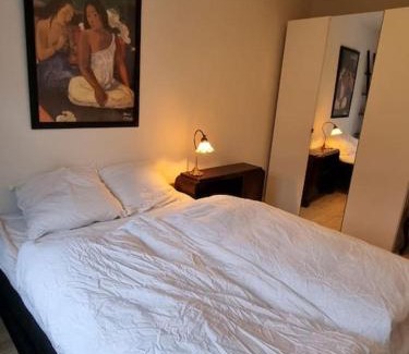 Randers Apartamento | Pæn central lejlighed med gratis parkering