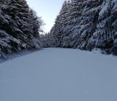Schleiden Apartamento | Pöhl am Nationalpark Eifel