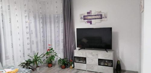 Tirgu Mures Apartamento | P Apartman