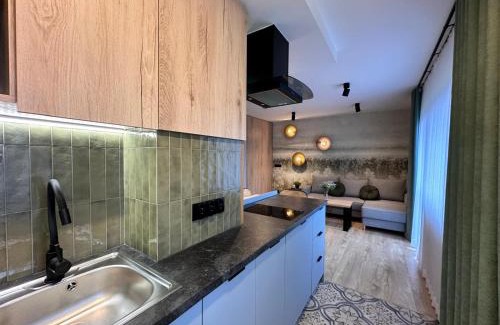 Bialka Tatrzanska Apartamento | Pańska Polana Apartamenty - SALA ZABAW, przystanek SKIBUSa przed bramą