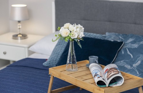 Wzgorze Swietego Maksymiliana Apartamento | Paderewskiego Cosy Apartment by Renters