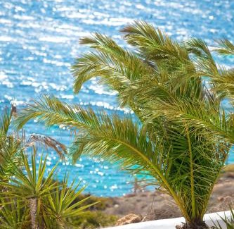 Donoussa Apartamento | Pahivouni Studios & Suites