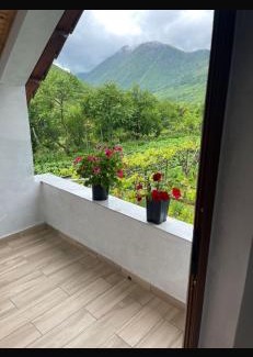 Boge Casa | Paja Guesthouse - Camping
