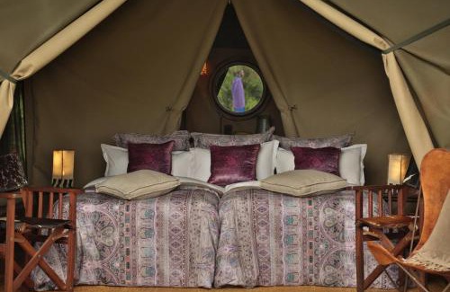 Ngorongoro Conservation Area Otro | Pakulala Safari Camp - Ngorongoro