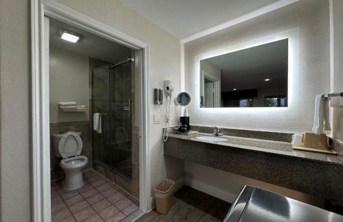 Southeast Houston Hotel | Palace Inn I-45 & Bellfort