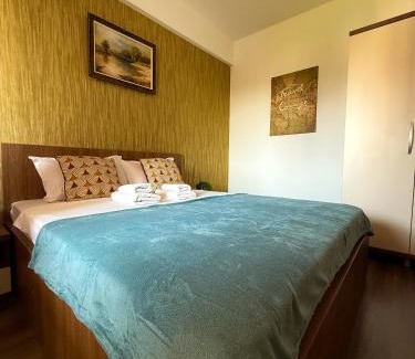 Iasi Apartamento | Palace View Apartment 2 rooms