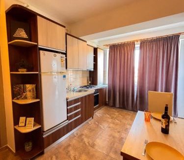 Iasi Apartamento | Palace View Apartment 2 rooms