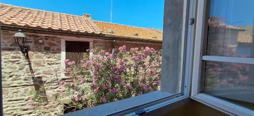 Capraia Isola Villa | Palazzo Renzi