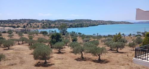 Porto Heli Apartamento | Pale Orb Properties Porto Heli