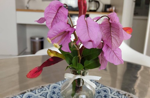 Summerstrand Casa | Palm Beach Guesthouse