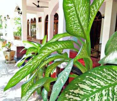 Uppuveli Complejo | Palm Beach Resort by Yosha Guest