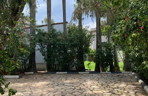 Muyenga Casa | Palm boulevard