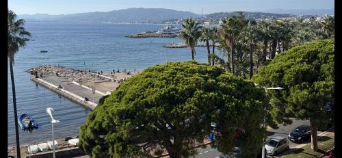 Pointe Croisette Apartamento | Palm croisette front de mer1