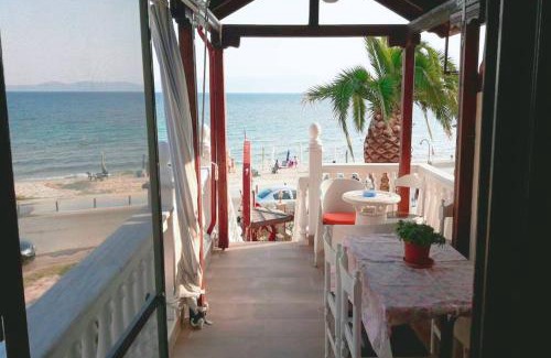 Pangaio Apartamento | Palm Garden Villa