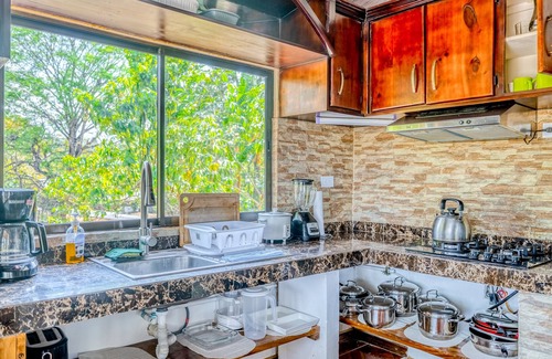 Garabito Casa | Palm-lined paradise with a pool, wood stove, & mountain views - dog-friendly