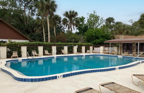 Port Orange Casa | Palm Tree Reverie