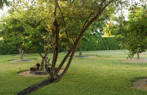 Clevia Apartamento | Palm Village 134