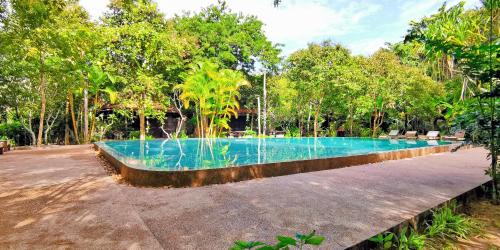 Siem Reap Complejo | Palm Village Resort & Spa
