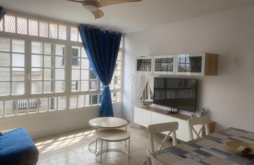 Insuela Apartamento | Palmeira grande y luminoso