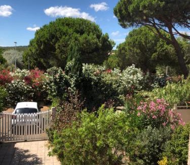 Les Ayguades Casa | PALMIER SOLEIL 410