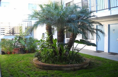 Westminster Hotel | Palms Courtyard Inn