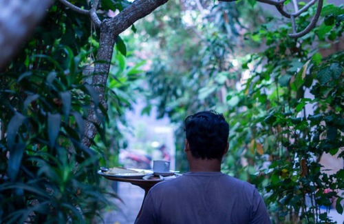 Jungut Batu Casa | Pandan Wangi