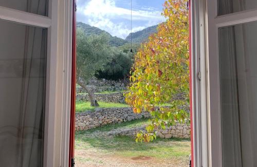 Aetos Apartamento | Pandora Villa