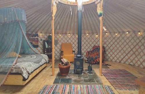 Dolgellau Otro | Pandy Farm Yurt - Panoramic mountain views within Snowdonia's National Park - 4x4 highly recommended