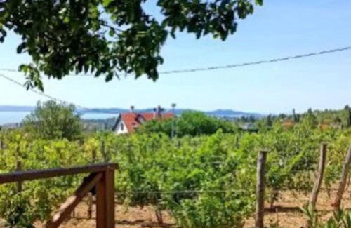 Lovas Apartamento | Panorámaház Lovason
