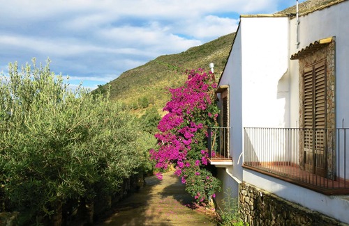 Castellammare del Golfo Villa | VILLA panorámica a 5 km del mar, dentro de una finca de olivares