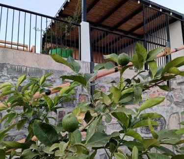 Al Hamra Chalet De Esquí | Panorama almisfah