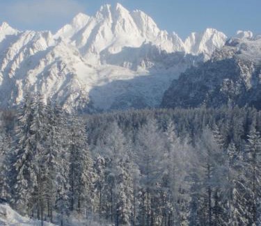 Strbske Pleso Apartamento | Panorama Apartmany