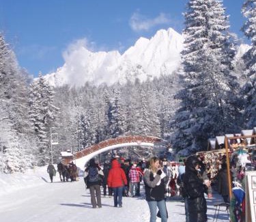 Strbske Pleso Apartamento | Panorama Apartmany