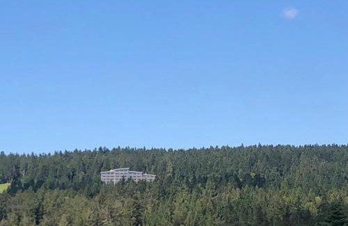 Neureichenau Apartamento | Panorama Bayerwald