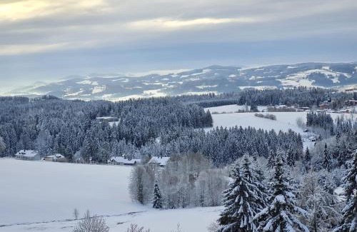 Neureichenau Apartamento | Panorama Bayerwald
