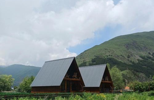 Kazbegi Chalet De Esquí | Panorama cottages in Sno