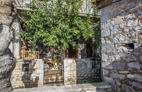 Tseria Casa | Panorama of Deep Blue