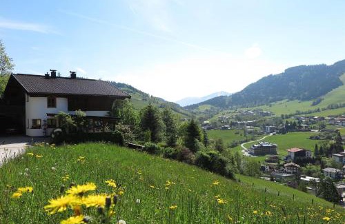 Niederau Apartamento | Panoramachalet Tirolernaturschlaf