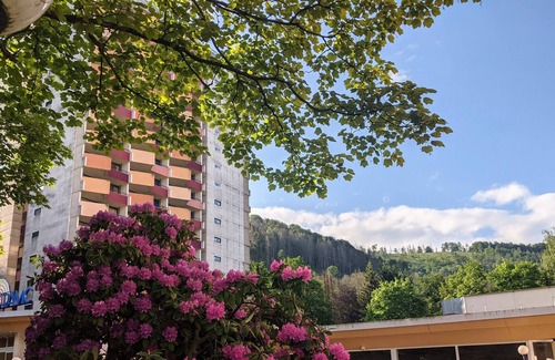 Dietrichstal Apartamento | Panoramic - Ihr Apartmenthotel im Harz