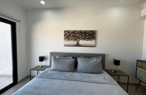 Libertad Apartamento | Panoramic Oceans Views 2 bdrm 2 bath W-Private Terrace