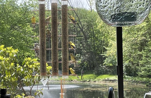 Canton Casa | Panoramic water views. Floor to ceiling glass .Live amongst nature