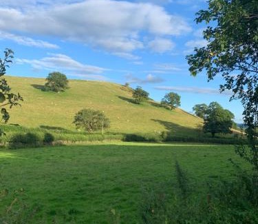 Llanfyllin Casa | Pant-y-creolen