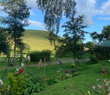 Llanfyllin Casa | Pant-y-creolen